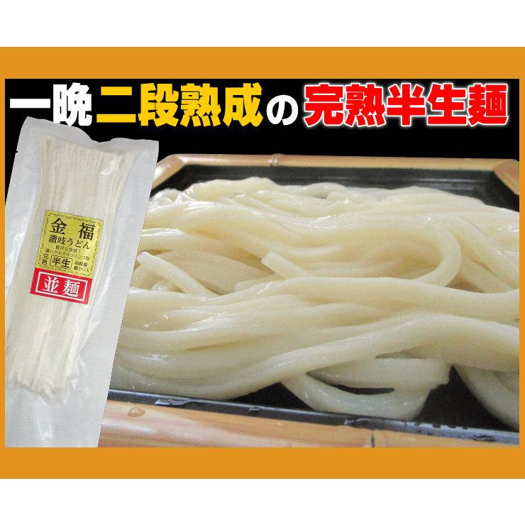 激選スープカレー 讃岐うどん 4人前セット ネコポス お試し 讃岐 食品 激安 ポイント利用 お試し商品 サンプル | ブランド登録なし | 07