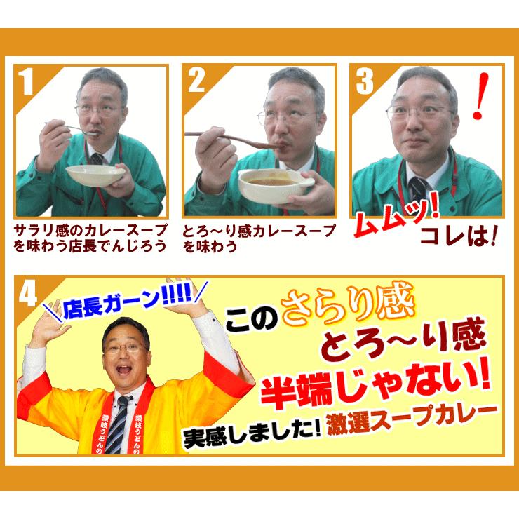 送料無料 うどん 激選スープカレー 讃岐うどん 4人前セット ネコポス お試し 讃岐 送料無 食品 激安｜komatuyamenbox｜06