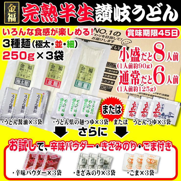 20時間熟成 半生 讃岐うどん 3種（極太・並・細） 750g つゆ付 欲張りセット 最安値挑戦 特産品 ポイント利用 お試し商品 サンプル | ブランド登録なし | 13