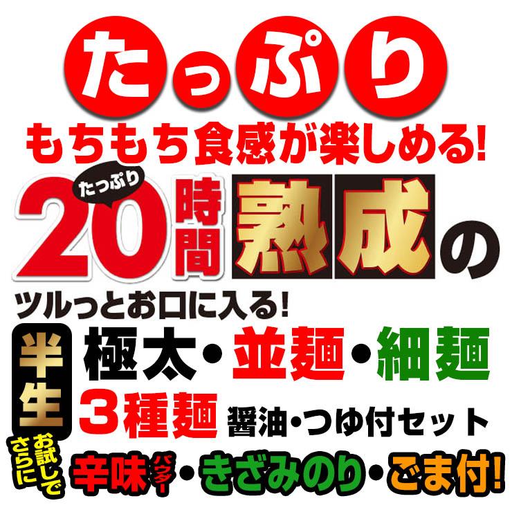 20時間熟成 半生 讃岐うどん 3種（極太・並・細） 750g つゆ付 欲張りセット 最安値挑戦 特産品 ポイント利用 お試し商品 サンプル | ブランド登録なし | 01