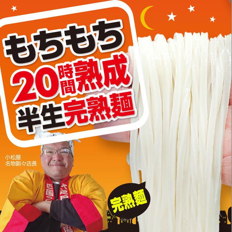 20時間熟成 半生 讃岐うどん 3種（極太・並・細） 750g つゆ付 欲張りセット 最安値挑戦 特産品 ポイント利用 お試し商品 サンプル | ブランド登録なし | 02