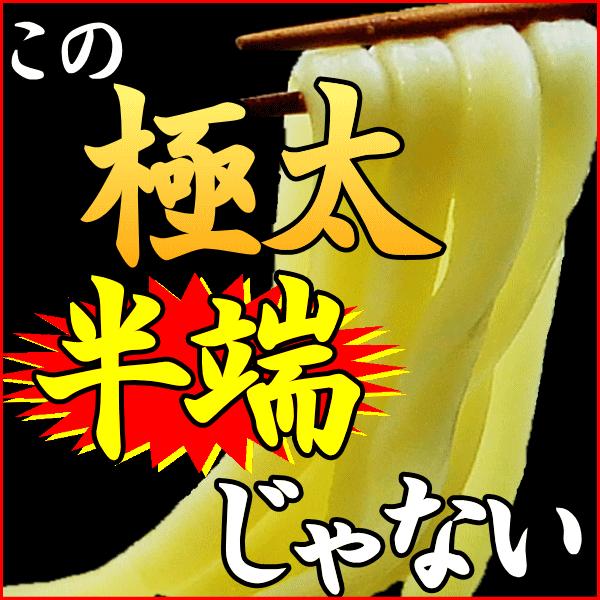 男 極太麺 完熟 半生 讃岐うどん 6〜8人前 セット お試し 讃岐 食品 激安 ぽっきり ポイント利用 お試し商品 サンプル | ブランド登録なし | 03