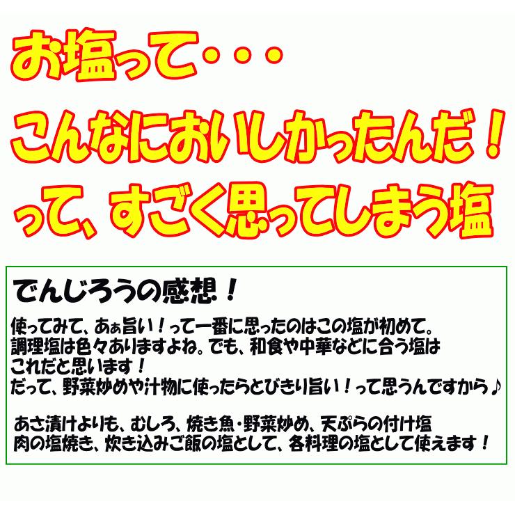 【送料別】四国 お土産 おみやげ 塩 瀬戸内 浅漬け塩 芽かぶ入り280g（1袋）【瀬戸内海産焼塩】｜komatuyamenbox｜06