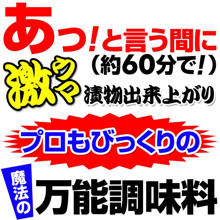 送料込み 塩 浅漬け塩　芽かぶ入り280g（2袋） 瀬戸内海産焼塩 ネコポス お試し 讃岐 送料無 食品 漬物 浅漬塩 めかぶ｜komatuyamenbox｜02