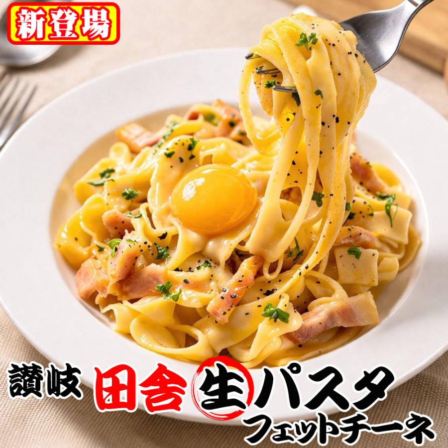 讃岐  田舎 生パスタ 180g×3袋 フェットチーネ  お試し バジルオイルソース プレゼント 送料無料（Yahoo!・讃岐うどんの小松屋麺BOX）