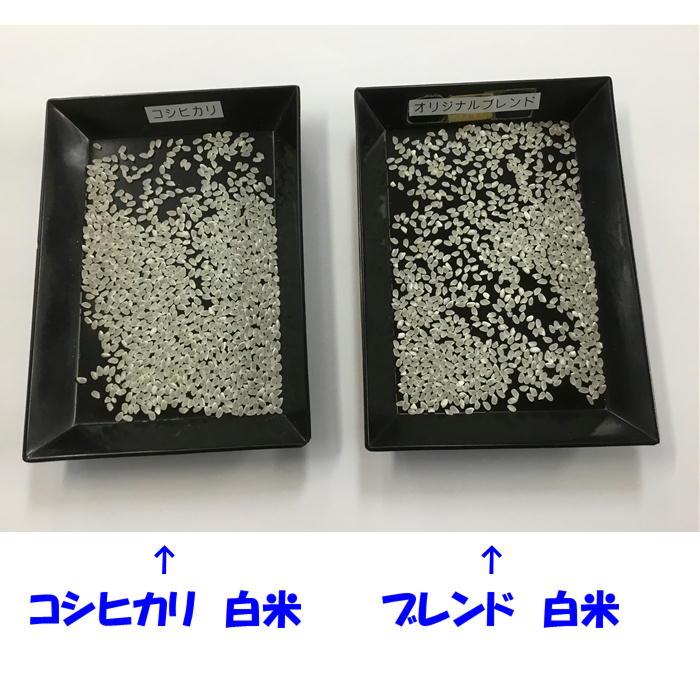 オリジナルブレンド 業務用 白米 5kg × 4袋 20kg 東北~関西 送料込