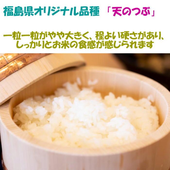 令和７年産 会津 天のつぶ 白米 5kg × ３袋 １５キロ 一部地域を除き 送料無料 送料込み 米販売店購入不可_1