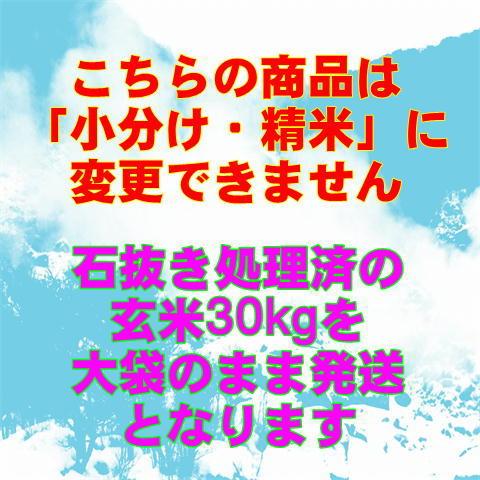 コシヒカリ 新米 令和7年産 会津 玄米 30kg (精米 小分け 不可) 東北
