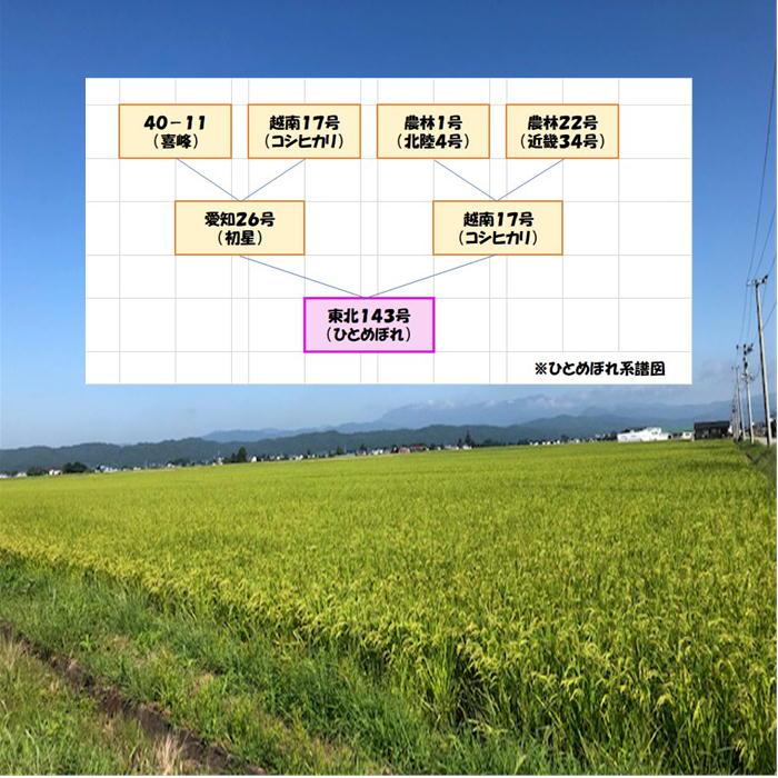 そよかぜ 30キロ精米、小分けなし 24日着 そよかぜ様専用 30キロ精米、小分けなし 24日着 【公式通販】