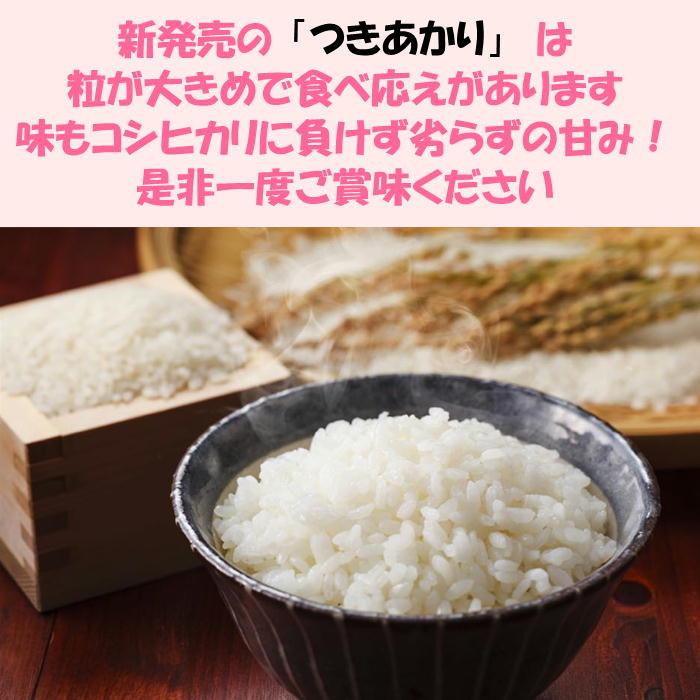 在庫限り 令和7年産 会津 つきあかり 玄米 30kg (精米 小分け 不可