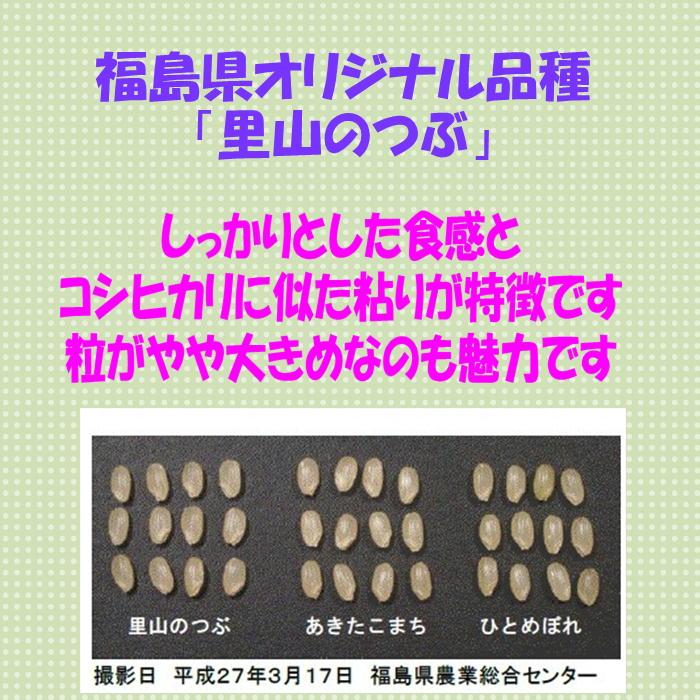 令和7年産 会津 里山のつぶ 玄米 30kg (精米 小分け 不可) 東北~関西