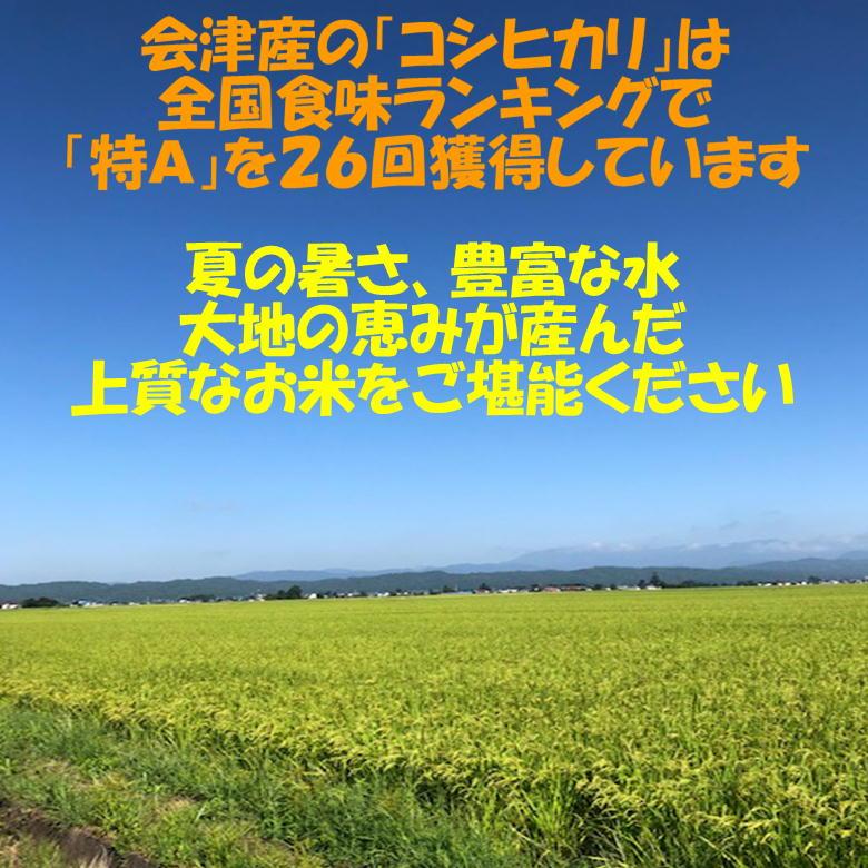 コシヒカリ 令和7年産 会津 白米 5kg×4袋 20kg 米 お米 東北〜関西