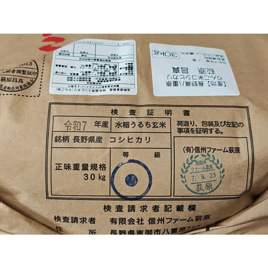 コシヒカリ 7年産 【無農薬・無化学肥料】信州りんご米 長野県八重原産