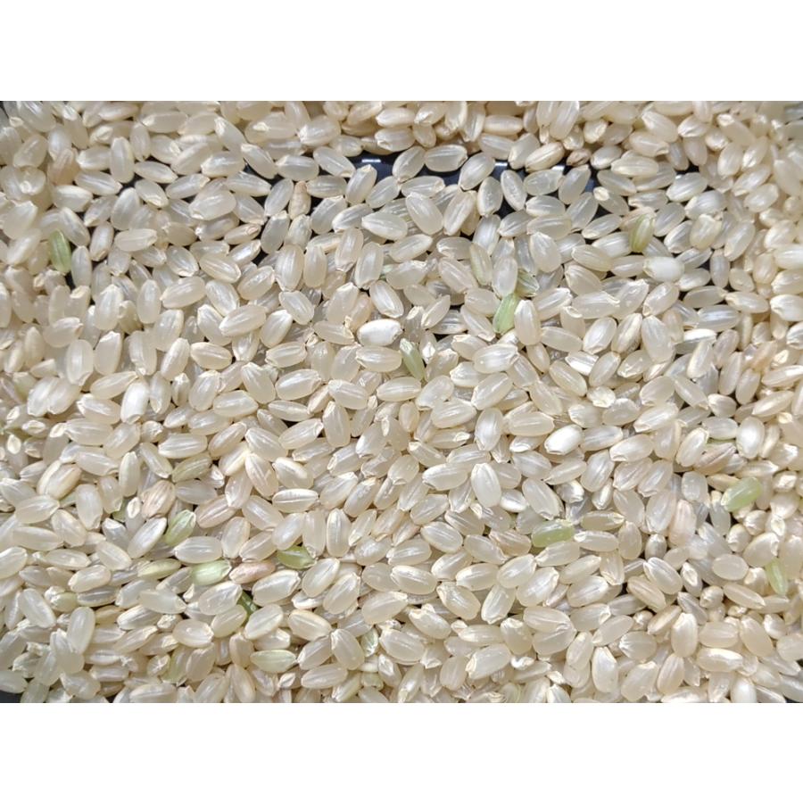 ヒノヒカリ 新米6年産 ひのひかり 奈良県産 玄米10Kg 白米・7分 ヒノヒカリ 新米6年産 ひのひかり 奈良県産 玄米10Kg 白米・7分