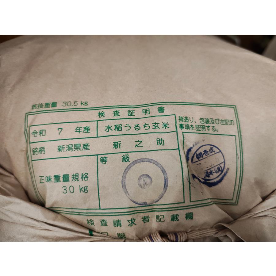 新之助（しんのすけ） 7年産 新潟県産 玄米30Kg 白米・7分づき・5分
