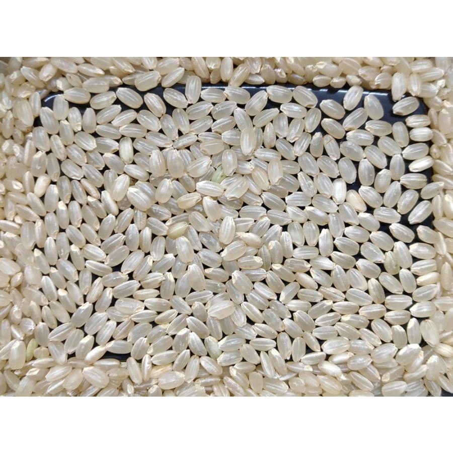 新之助 6年産 新潟県産 玄米30Kg 白米・7分づき・5分づき・3 新之助 6年産 新潟県産 玄米30Kg 白米・7分づき・5分づき・3