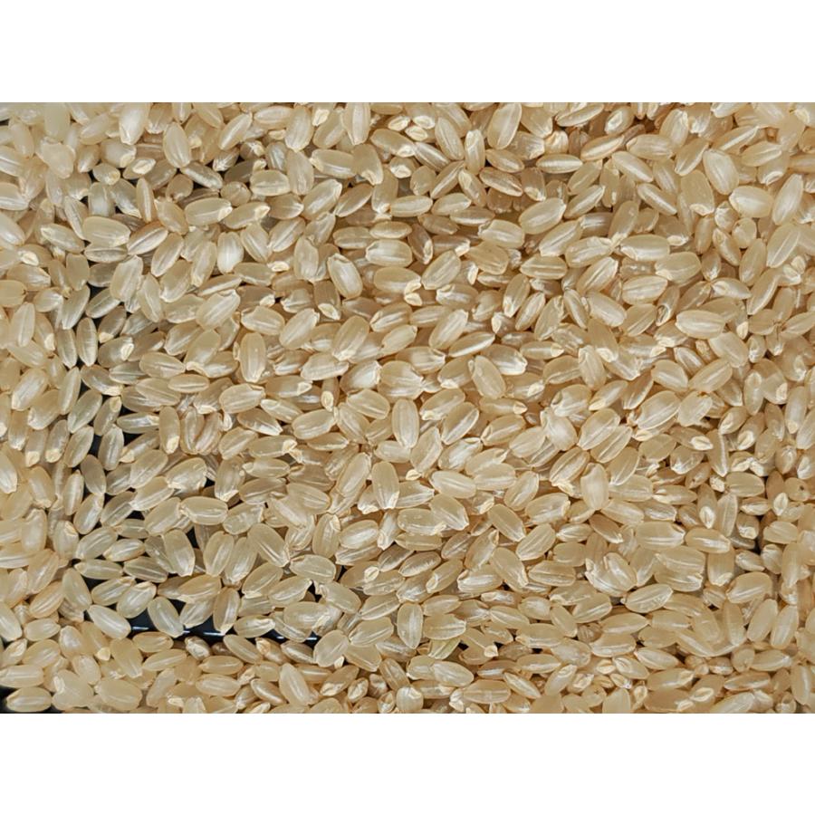 新之助（しんのすけ） 7年産 新潟県産 玄米30Kg 白米・7分づき・5分