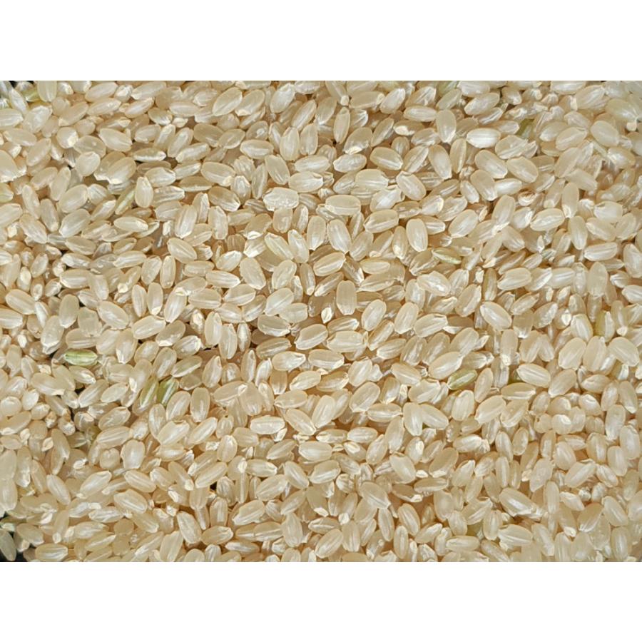 つや姫 7年産 山形県産 特別栽培米 玄米10Kg 白米・7分づき・5分づき