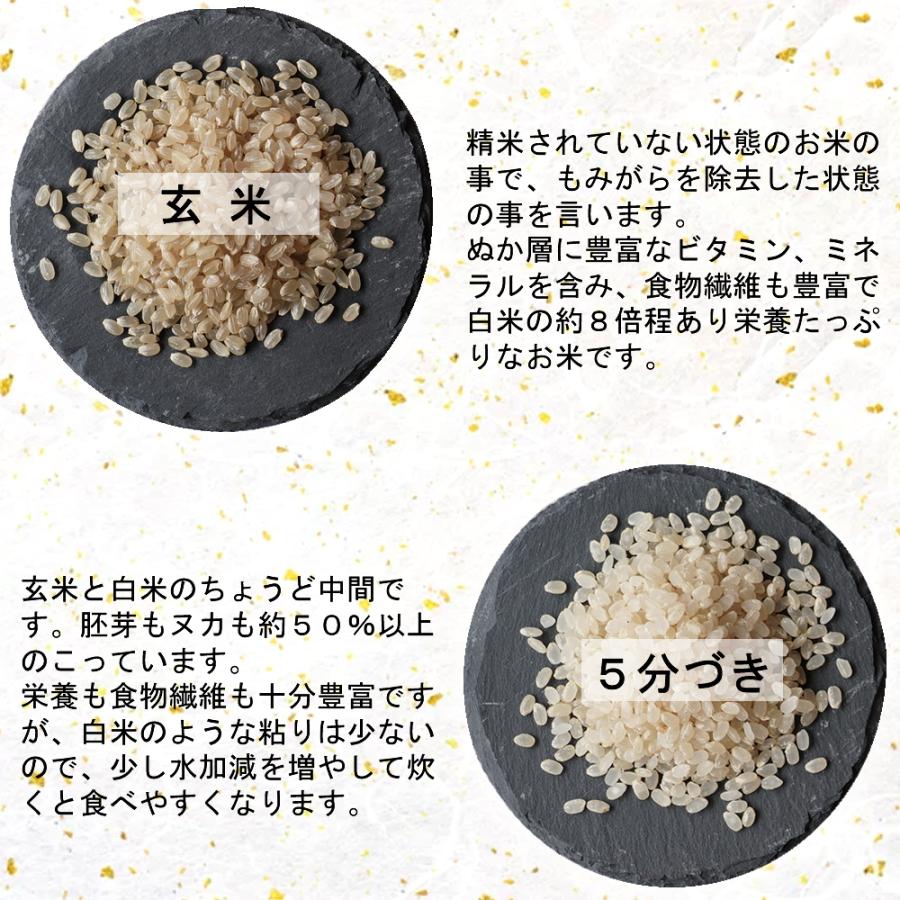 ひとめぼれ お米 米 10kg 令和6年産 送料無料 宮城県産 玄米 5分 ひとめぼれ お米 米 10kg 令和6年産 送料無料 宮城県産 玄米 5分