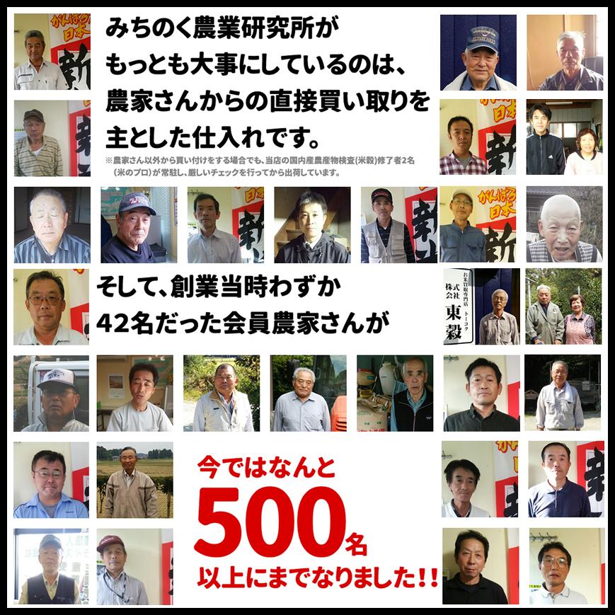 ひとめぼれ お米 米 30kg 令和6年産 送料無料 宮城県産 玄米 5分 ひとめぼれ お米 米 30kg 令和6年産 送料無料 宮城県産 玄米 5分