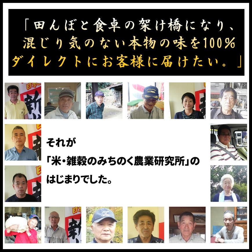 ひとめぼれ お米 米 30kg 令和6年産 送料無料 宮城県産 玄米 5分 ひとめぼれ お米 米 30kg 令和6年産 送料無料 宮城県産 玄米 5分