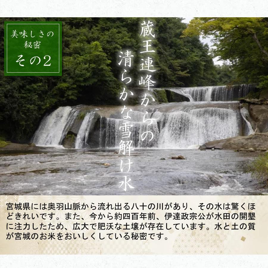 お米 米 20kg ササニシキ 令和7年産 送料無料 宮城県産 玄米 5分 7分 精白米 精米時重量1割減