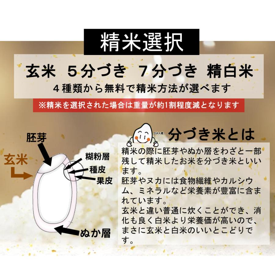 お米 米 20kg ササニシキ 令和7年産 送料無料 宮城県産 玄米 5分 7分 精白米 精米時重量1割減