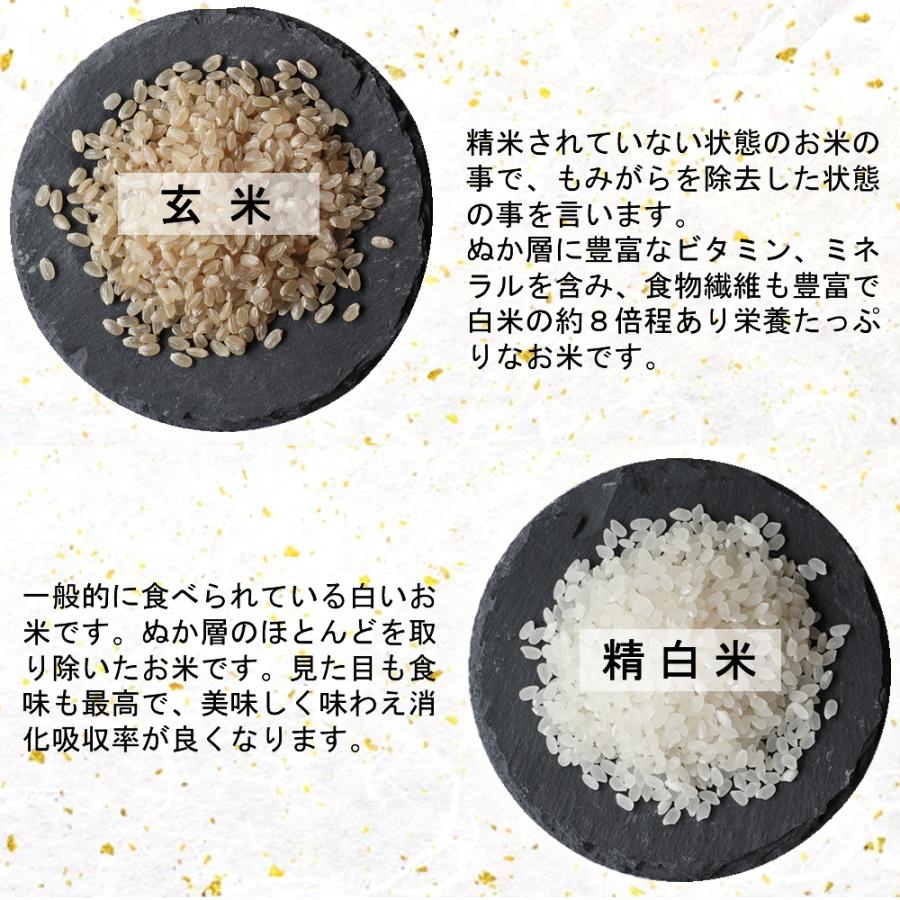 政府備蓄米 令和3年産 5kg 備蓄米 米屋のつきたて米 3営業日以内出荷