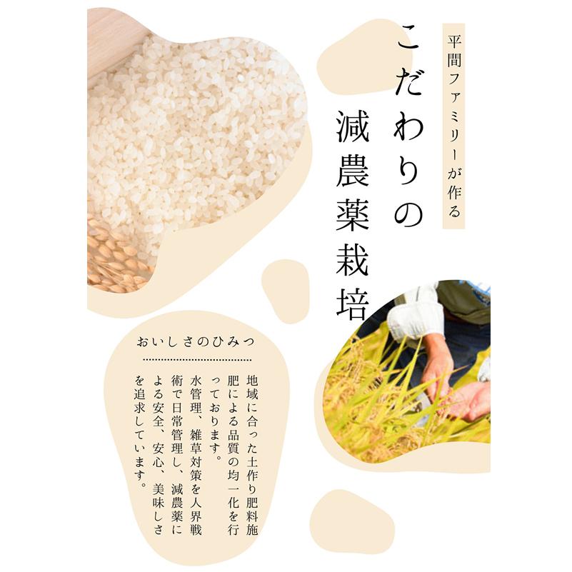ひとめぼれ 新米 お米 米 20kg 令和7年産 送料無料 宮城県産 生産者