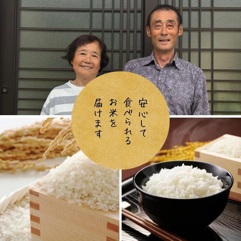 ひとめぼれ 新米 お米 米 20kg 令和7年産 送料無料 宮城県産 生産者