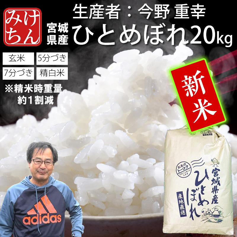 ひとめぼれ 新米 お米 米 20kg 令和7年産 送料無料 宮城県産 生産者