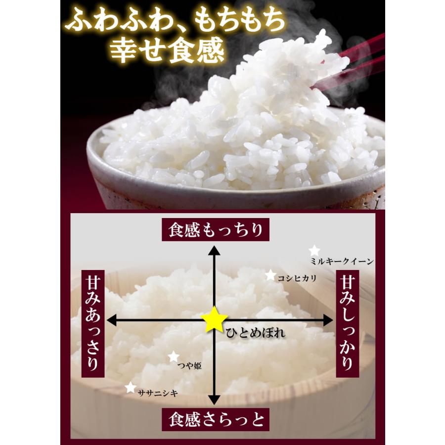 ひとめぼれ 新米 お米 米 20kg 令和7年産 送料無料 宮城県産 生産者