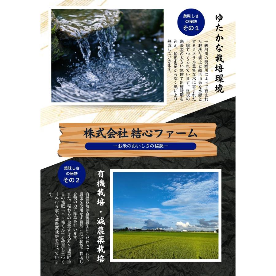 ひとめぼれ 新米 お米 米 30kg 令和7年産 送料無料 宮城県産