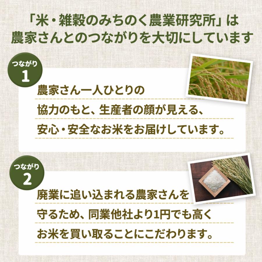 コシヒカリ お米 米 10kg 令和6年産 送料無料 宮城県産 玄米 5分 コシヒカリ お米 米 10kg 令和6年産 送料無料 宮城県産 玄米 5分