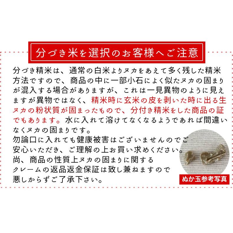 コシヒカリ お米 米 30kg 令和6年産 送料無料 宮城県産 玄米 5分 コシヒカリ お米 米 30kg 令和6年産 送料無料 宮城県産 玄米 5分