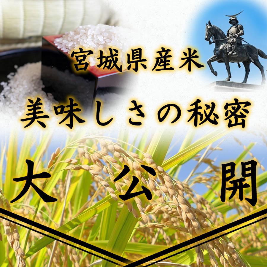 コシヒカリ お米 米 30kg 令和6年産 送料無料 宮城県産 玄米 5分 コシヒカリ お米 米 30kg 令和6年産 送料無料 宮城県産 玄米 5分