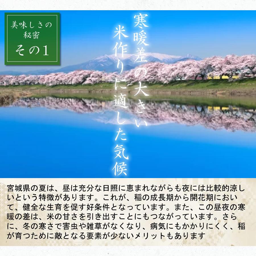 お米 米 20kg まなむすめ 令和7年産 送料無料 宮城県産 玄米 5分 7分 精白米 精米時重量約1割減 マナムスメ まな娘