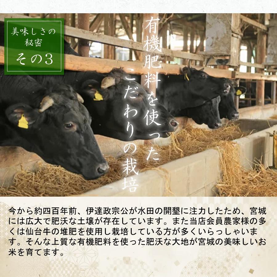 ササニシキ お米 米 30kg 令和7年産 送料無料 宮城県産 玄米 5分 7分