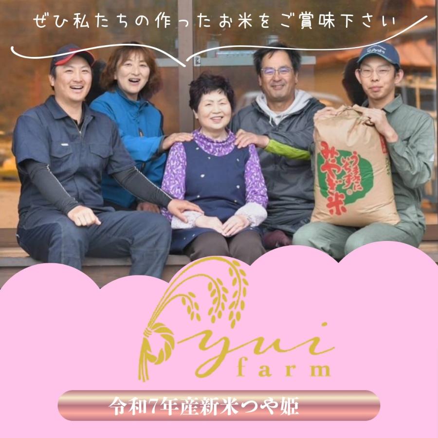つや姫 お米 米 20kg 令和7年産 送料無料 宮城県産 生産者 今野重幸 減