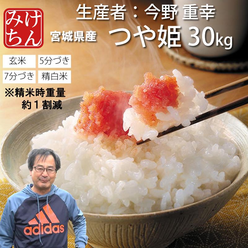 令和7年産 特別栽培 宮城県つや姫 玄米30キロ 送料無料 宮城