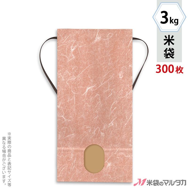 金井たつお 直筆色紙 いずみちゃグラフティー ラフティ