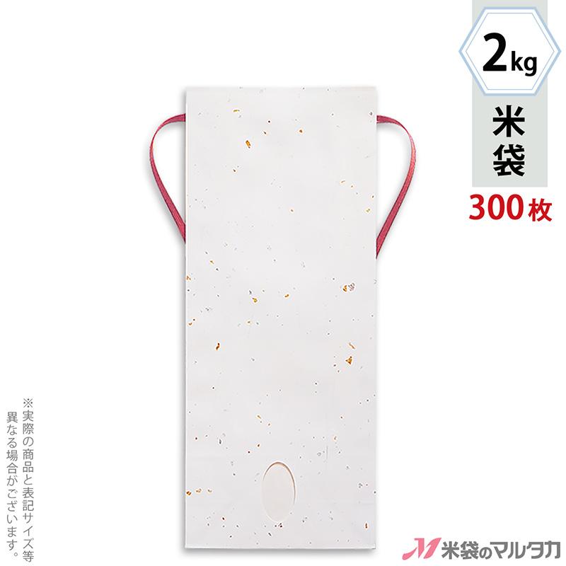 ♯Gzv09IZスーパーマリオギャラクシー2アイテムコレクション10種 ♯Gzv09IZスーパーマリオギャラクシー2アイテムコレクション10種