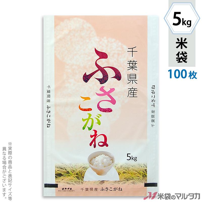 中古】国风小甜心 海外人物装飾マステ 海外人物マステ中古196