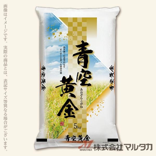 専用出品　青空様　5kg 米袋 ポリ ストライトDX 青空黄金 （あおぞらこがね） 5kg用 100枚