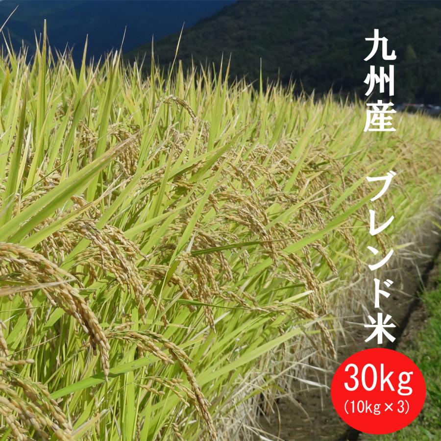 白米 30kg】【送料無料】九州 佐賀県産 ブレンド米 膳の匠【生活応援米