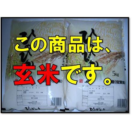 令和3年産 玄米 ヒノヒカリ ５kg×２ 買物 森さんちのヒノヒカリ 佐賀県白石産 最高品質の