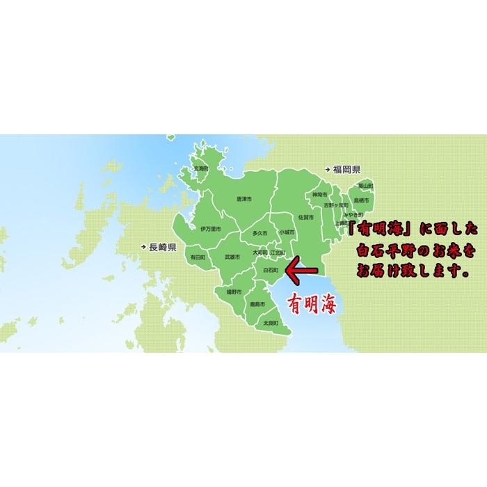 ヒヨクモチ 【令和7年産】佐賀県産 玄米30kg 送料無料 日本三大もち