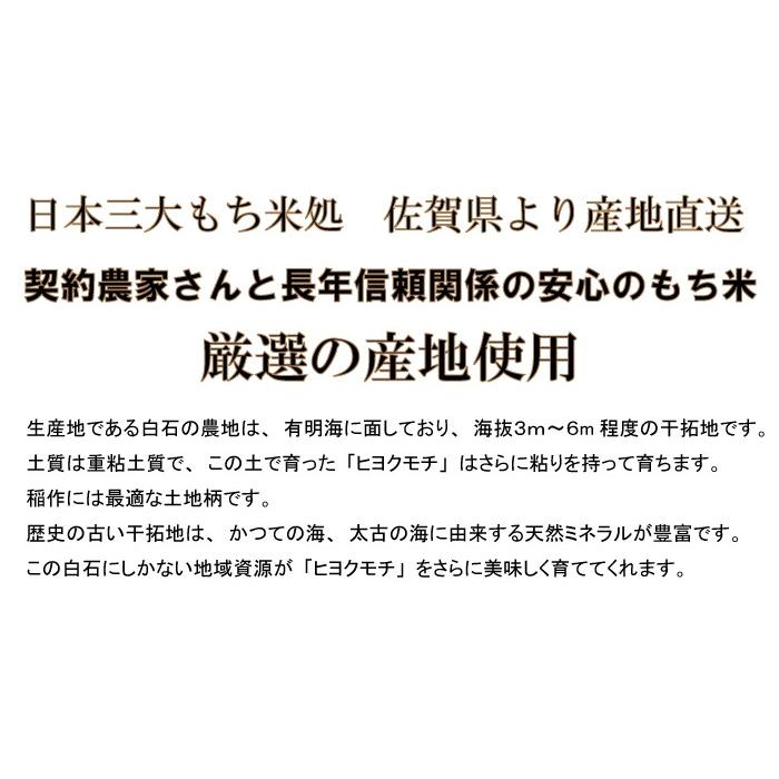 ヒヨクモチ 【令和7年産】佐賀県産 玄米30kg 送料無料 日本三大もち