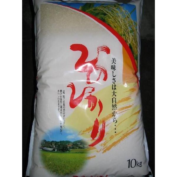 ヒノヒカリ 【期間限定特売中】【令和7年産】 10kg 九州 佐賀県産