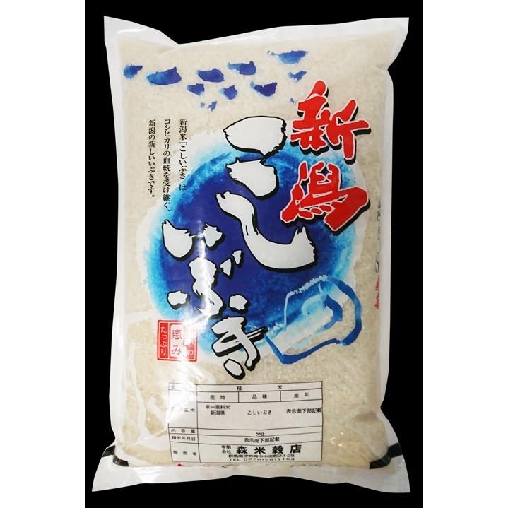 こしいぶき 【送料無料(北海道・九州・沖縄除く)】令和7年産 新潟上越